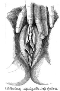 Vulva_8