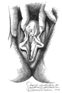 Vulva_9